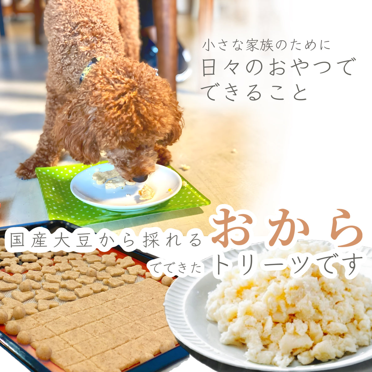 【カツオ】おからトリーツ